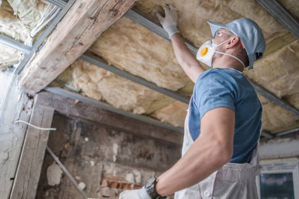 Best Cellulose Insulation in Tybee Island, GA