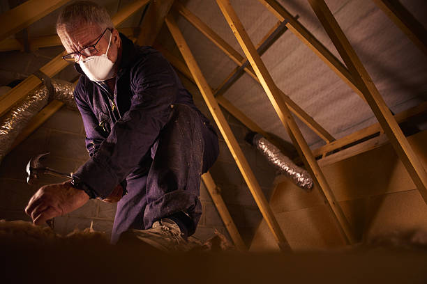 Best Insulation Maintenance and Repair in Tybee Island, GA